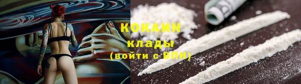 сатива Елизово