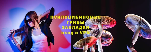сатива Елизово