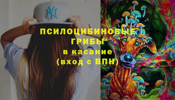 сатива Елизово