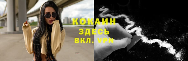 сатива Елизово