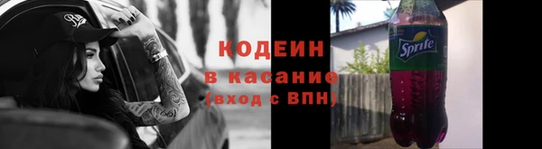 сатива Нязепетровск
