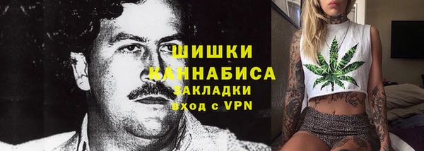 стафф Ельня