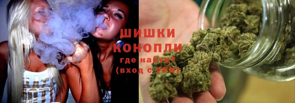стафф Ельня